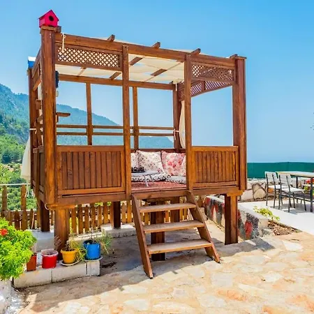 Valley Deniz, Dag Manzarali Muestakil *